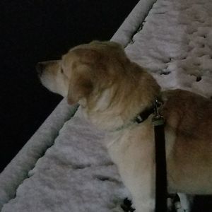 Meet your Posher, Shari